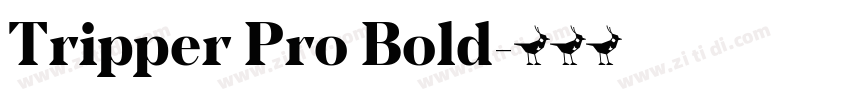 Tripper Pro Bold字体转换
